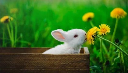 澳门新葡京娱乐场-徐彬2022后稳步成长 中超+U23亚洲杯表现亮眼敲定留洋